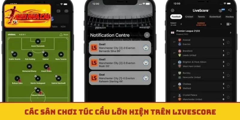 Các sân chơi túc cầu lớn hiện trên livescore