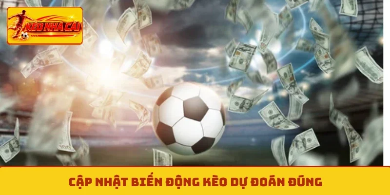 Cập nhật biến động kèo dự đoán đúng