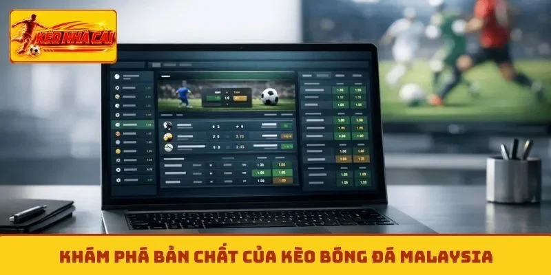 Khám phá bản chất của kèo bóng đá Malaysia
