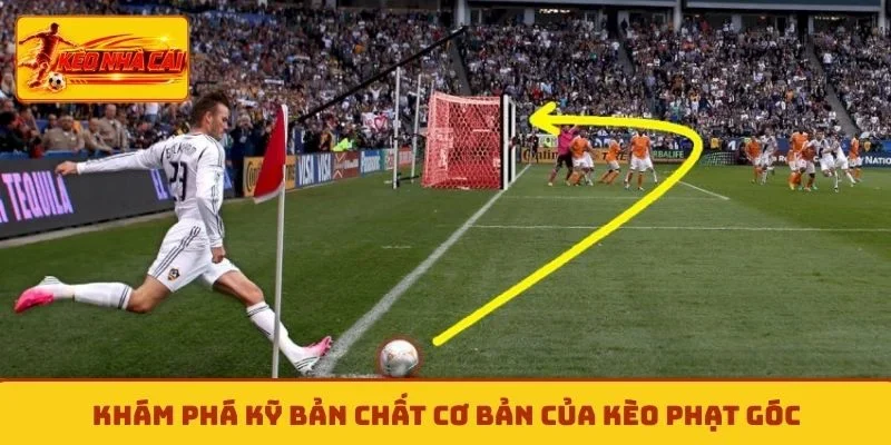 Khám phá kỹ bản chất cơ bản của kèo phạt góc
