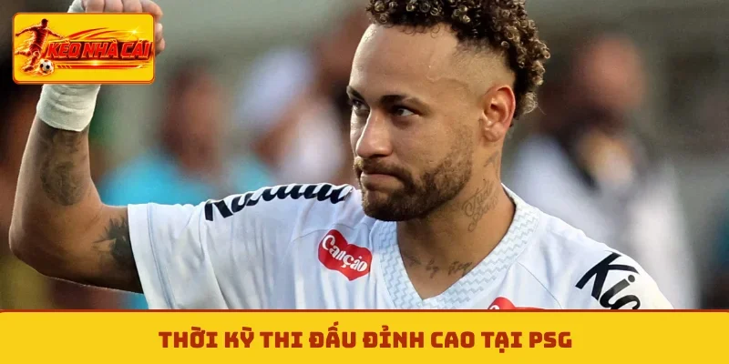 Thời kỳ thi đấu đỉnh cao tại PSG