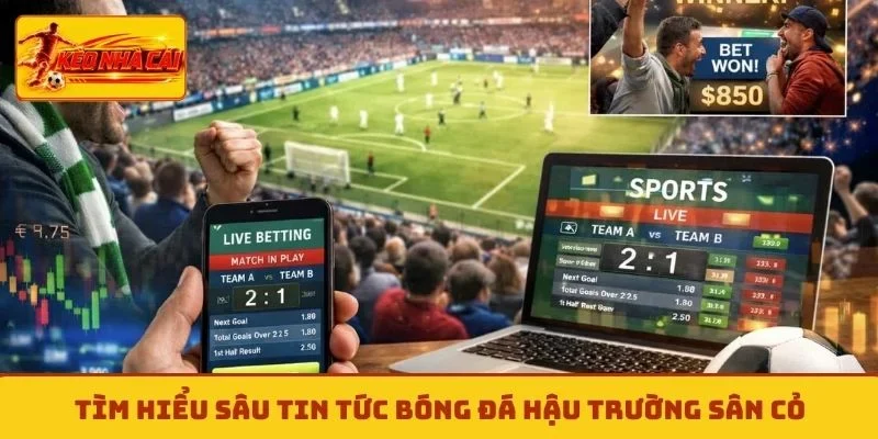 Tìm hiểu sâu tin tức bóng đá hậu trường sân cỏ