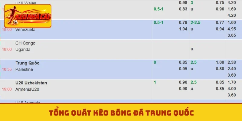 Tổng quát kèo bóng đá Trung Quốc
