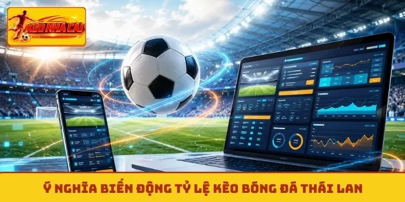 Ý nghĩa biến động tỷ lệ kèo bóng đá Thái Lan